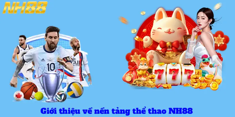 Giới thiệu về nền tảng thể thao NH88